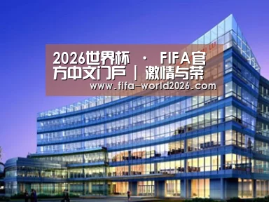 案例展示五