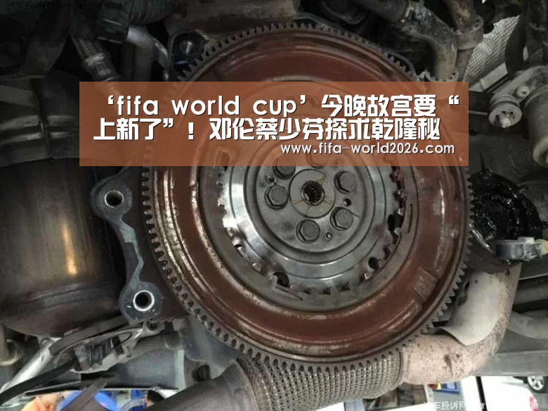世界杯比赛