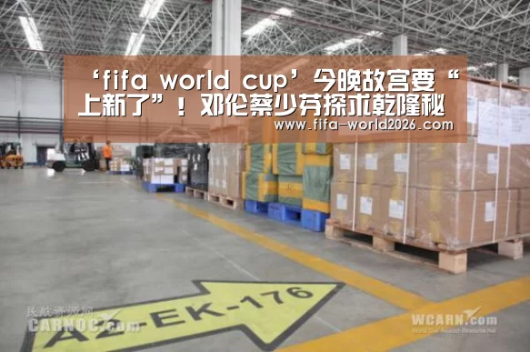 fifa world cup